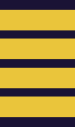 Captain