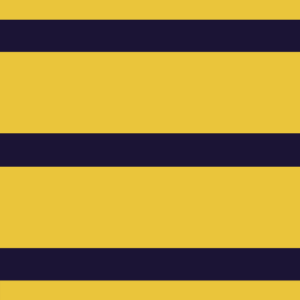 Captain